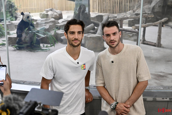 甲级联赛 甲级联赛