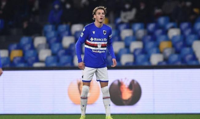 在国内培养 在国内培养